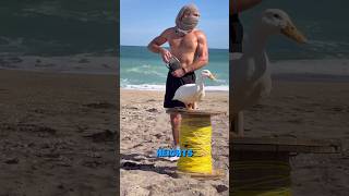 Next-level fishing #shorts #beach #fishing