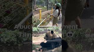 The moment I will never forget. @SanDiegoZoo #panda #giantpanda #bucketlist #zoo