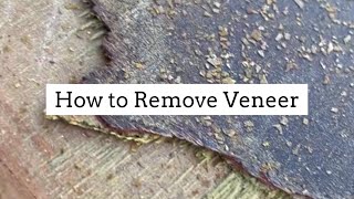 How to Remove Veneer the EASY Way | Iron Method