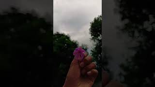 Tomar Chaya | Shitom Ahmed
