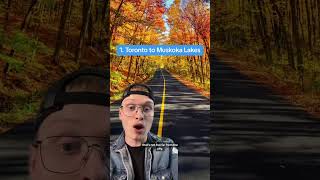 Road trip🚗 3 scenic Ontario autumn drives #ontario #autumn #roadtrip #travel