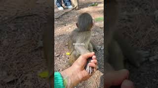 Subscribe for more 🤣🤣😂