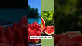 তরমুজ কেনার সময় এগুলো দেখেন তো? #watermelon #healthtips #shortsfeed #foodhacks