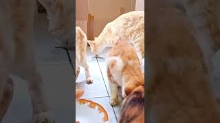 🥰Buka puasa bersama 🥰