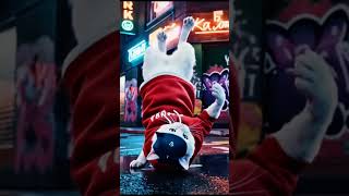 AI cat #aicat #catvideos #aicatvideo #animaldance