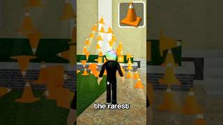 The RAREST Item in Blox Fruits?