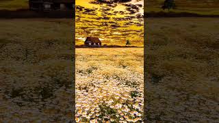 beautiful scenery #upsc #ssc #cgl