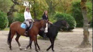 My French Country Home lifestyle videos - authentic french living