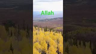 #Allah#sorts#islamicpreacher#youtubeshorts #viralvideo #