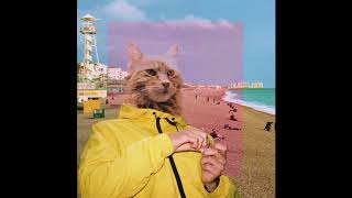 I Feel... // Steeples