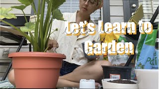 Learning to make a Balcony and Window Garden! *im still new to this*