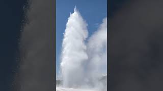 Old Faithful - yellowstone's Geyser Wonder #yellowstone  #Geyser #usa #travelvlog #shorts