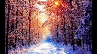 Beautiful Relaxing Music & Wind Chimes Sound | Deep Sleeping Music  " Beautiful Early Snowfall "