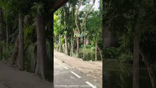 #banglabaulgaan #banglagaan #globalfolk