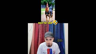 Try Not To Laugh Challenge PT-11🤣 2024 #shorts #youtubeshorts #funny #comedy