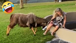 The Funniest Internet Videos That’ll Make You Laugh Till It Hurts 😂😁 Funny Videos 2025 Part 3