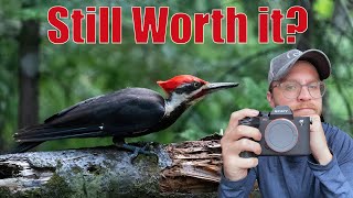 Sony A7IV in 2025 for Wildlife Photography and Video - Pros and cons