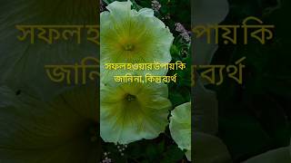 ❣️❣️❣️ #banglashortsvideo#❣️❣️❣️