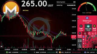 XMR | Live Stream 24/7 | OFFICIAL MONERO | XMR USDT | Trading Signals Chart