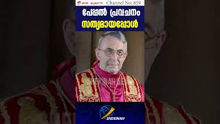 'പേപ്പൽ പ്രവചനം സത്യമായപ്പോൾ | CONCLAVE | CARDINALS | NEW POPE | RIP POPE | CONCLAVE 2025
