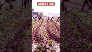 Building Fair and Inclusive Agricultural Systems 🌾