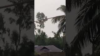 Ohe ki korile bolo paibo tumare... #love #song #lovestory #sad #romantic #banglashortfilm2021