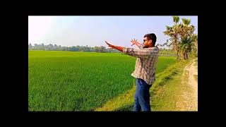 Emon jodi hoto ami pakhir moto | Joler Gaan | Nature Vibes | #emonjodihoto #joler_gaan #jolergaan