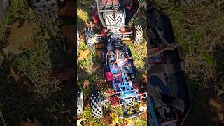 今日は外だよ！！！！！