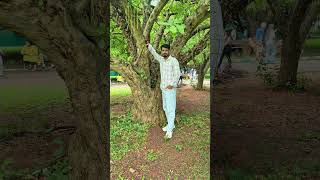 dil jo bechara  h#3d  #30secwhatsappstatus ##love ##tereliyehumhaijiye