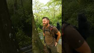 Forrest close call #funny #subscribe #shorts #viralvideo #youtubeshorts #instagood