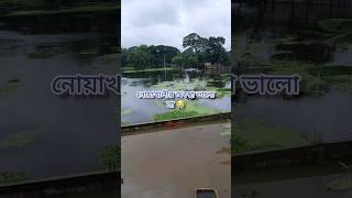 নোয়াখালীর বন্যার অবস্থা খারাপ।  দিন দিন পানি বাড়তেছে 😭 #flood #noakhali
