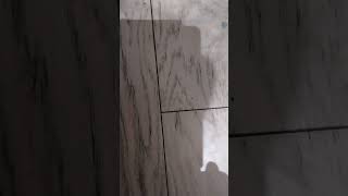 #TinyButMighty #ShortAndProud #LilVibes #ShortStuff