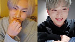 같은 다크문인데 좀 봐줘잉