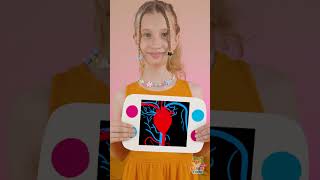 Let's Learn What's Hiding Inside Our Body 🧠❓ #kidsvideo #learning