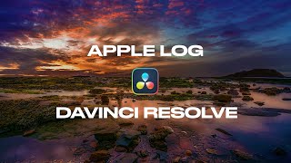最高のワークフロー：DaVinci ResolveでApple Logグレーディング - Blackmagic / SSD & Grip / EPIC Luts