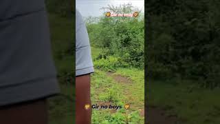 rajbhagadhvi❤️#gir#shortsvideo#love#vairal#short#funny#