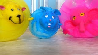 From Furry to Fabulous: Watch These Animals Turn into Balloons