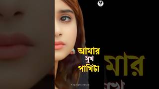 💔আমার সুখ পাখিটা উড়ে গেছে | Bangla Sad Song | #foryou #trending #shorts #freerishta #aveeplayer