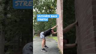 Incredible Back Stretch #backpain #stretch #posture #shorts #unique