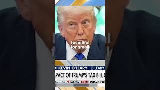 Why is the IRS targeting YOU? 🔥 #AuditPanic #TaxReformNow #shorts #tax #updates