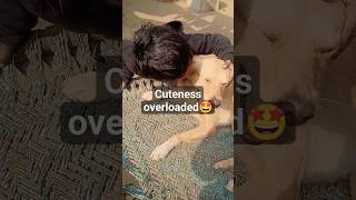 Cuteness overloaded😍 #dogandfamily #jacky #cute #kids #cutebaby #viral #trending #shortsfeed #funny