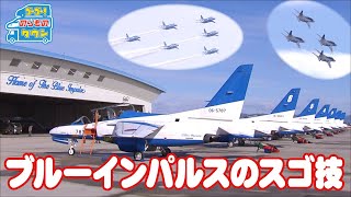 【のりもの図鑑】ブルーインパルスのスゴ技（はたらくのりもの）｜Blue Impulse T-4