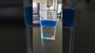 Product You Need in Your Office #home #dailyvlog #decoration