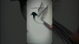 کسی کی راہ سے خدا کی خاطر اٹھاکے کانٹے ہٹا کے پتھرپھر اس کے آگے نگاہ اپنی جھکا کے رکھنا کمال یہ ہے۔