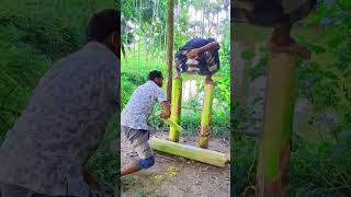 বুকের ভিতর থাইকো বন্ধু যাইওনা দূরে  #foryou #fypシ゚viral #shortvideo #comedysong #funny #lifkhub