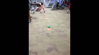 Rescue puppy meets personal trainer: Part 1 lol