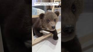 この家族は道で迷子のクマの子を見つけましたが、その後にこんなことが起こりました。