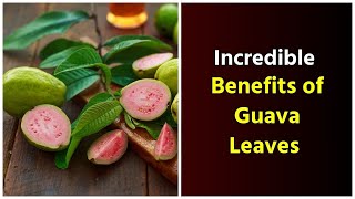 Guava Leaves: The Secret Health Hack You Need!