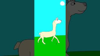 Llama | 🦙 | Toon Boom Harmony Short