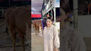 রিতু কোরবানির গরু পেয়ে অনেক খুশি 😍 | Qurbani Cow 2025 #shorts